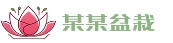 抓饭直播-足球直播|篮球NBA直播|抓饭体育直播|高清直播_抓饭直播官网